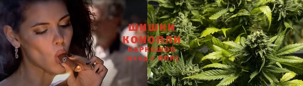 стаф Верхний Тагил