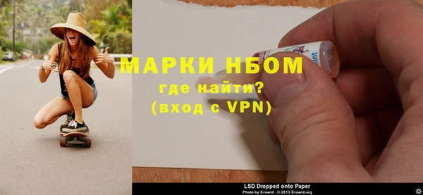 индика Верея