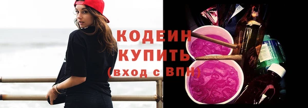 индика Верея