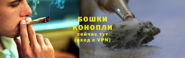 индика Верея