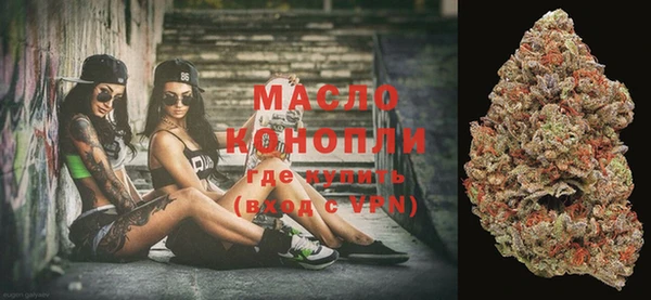 индика Верея