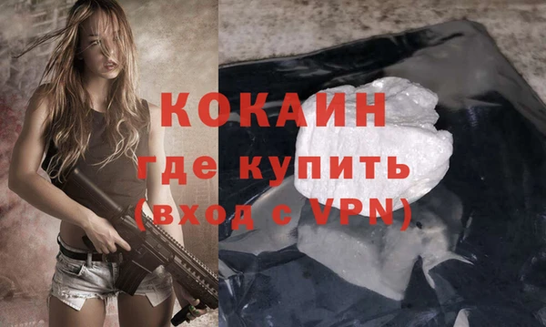индика Верея
