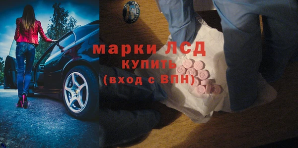 индика Верея