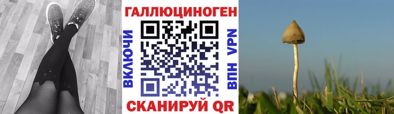 Галлюциногенные грибы Cubensis  Весьегонск 